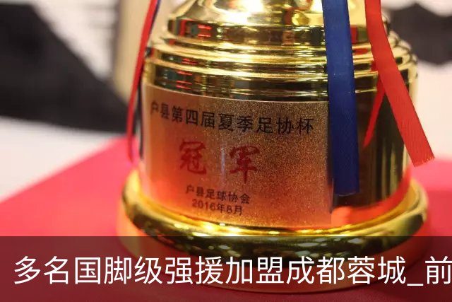 多名国脚级强援加盟成都蓉城 前场还有进人空间